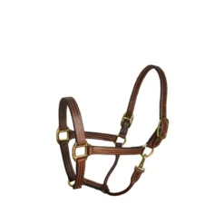 Perri's Leather Stable Halter