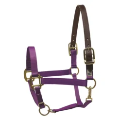 Perri's Economy Safety Halter -Weatherbeeta Store 150PPU Perris Economy.Safety.Halter Purple