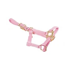 Deluxe Mini Halter -Weatherbeeta Store 1823 Jacks Mini.Halter Pink Side