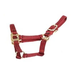 Deluxe Mini Halter -Weatherbeeta Store 1823 Jacks Mini.Halter Red Side