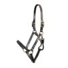 Walsh Showman Halter