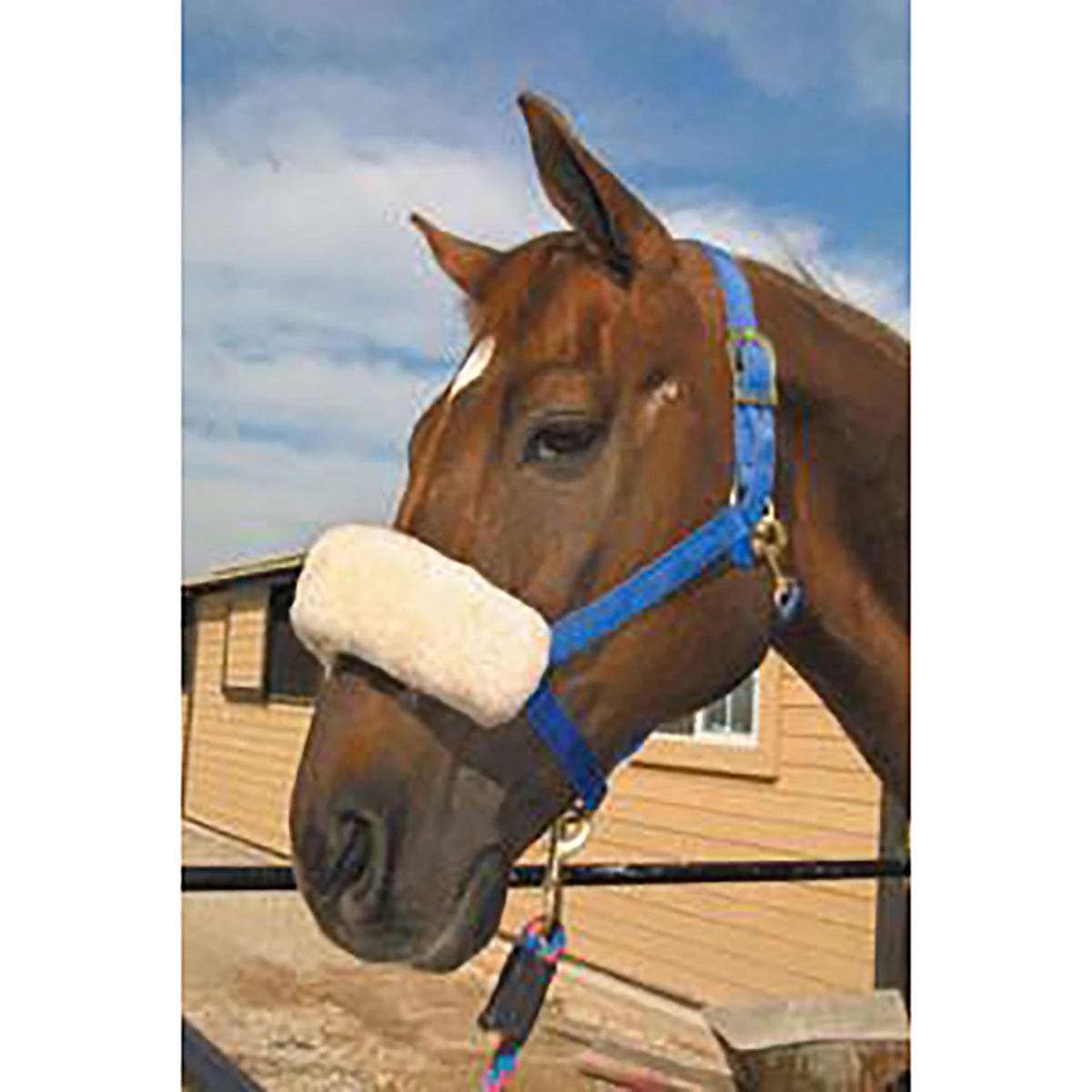 ECP Halter Fleece Noseband Cover 1 ECP Halter Fleece Noseband Cover