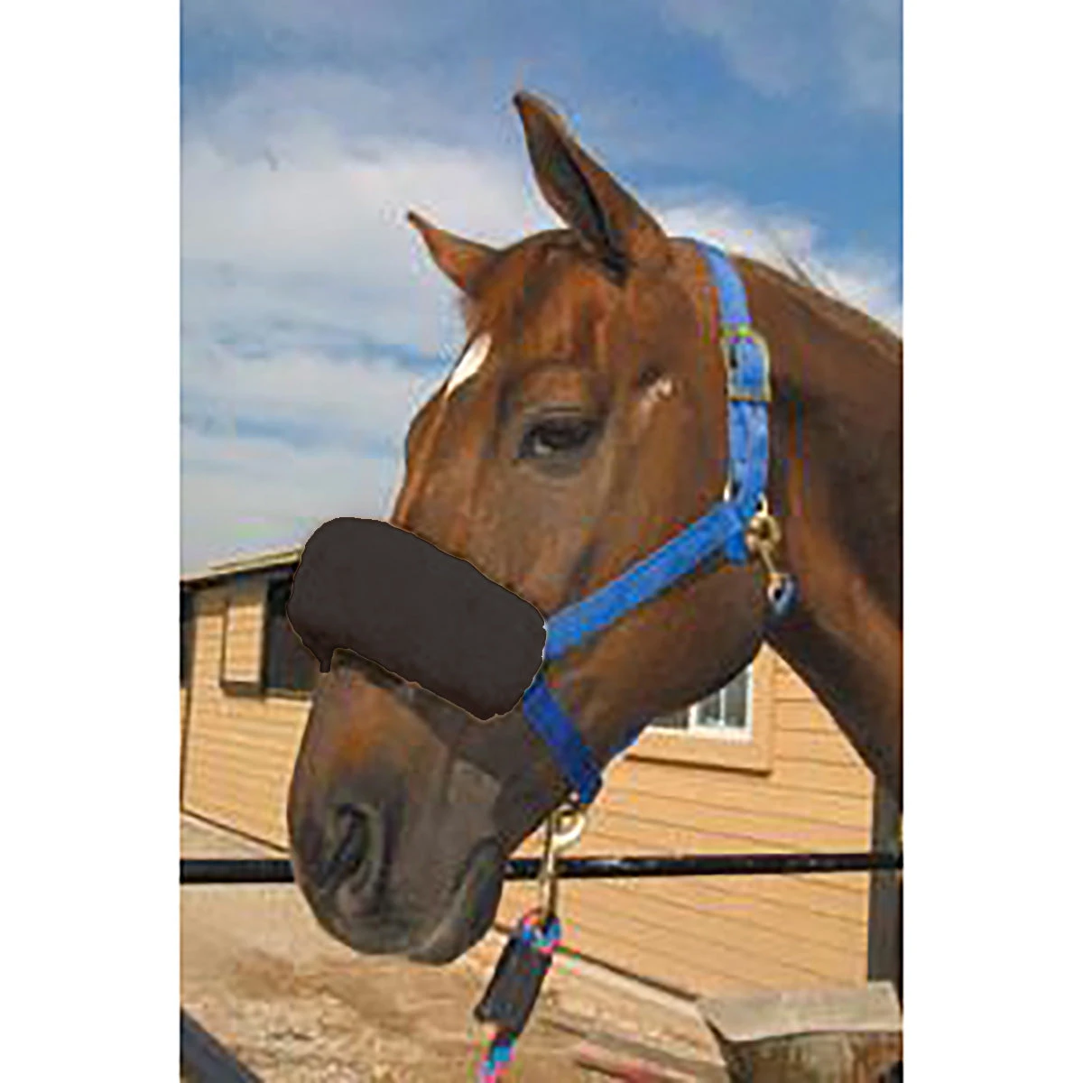 ECP Halter Fleece Noseband Cover 2 ECP Halter Fleece Noseband Cover - Image 2