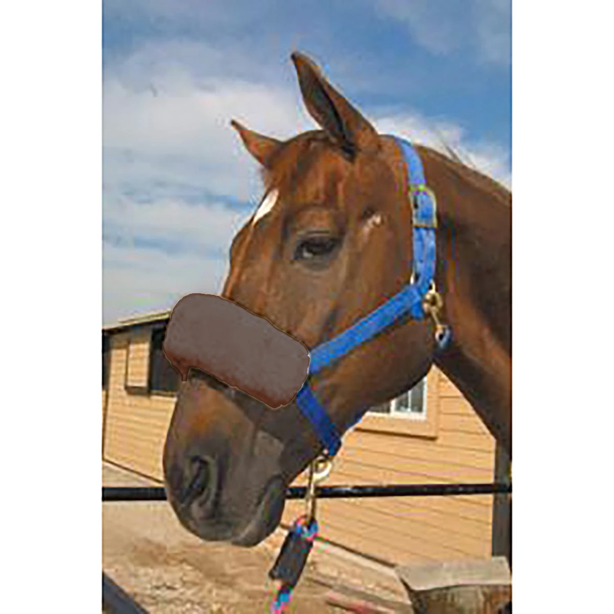 ECP Halter Fleece Noseband Cover 3 ECP Halter Fleece Noseband Cover - Image 3