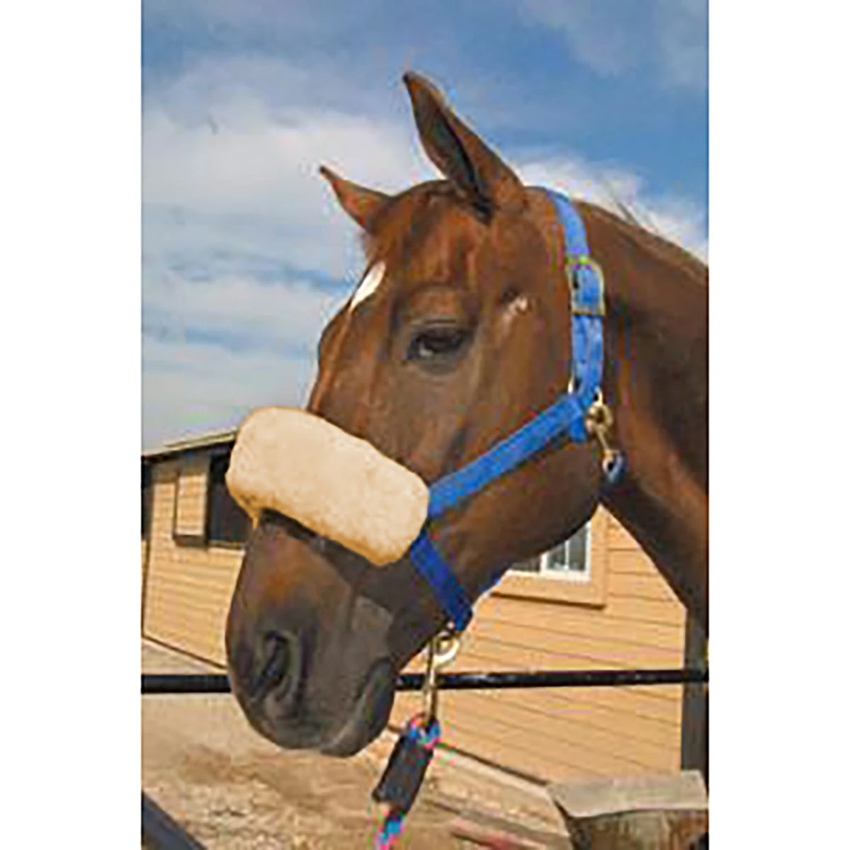 ECP Halter Fleece Noseband Cover 4 ECP Halter Fleece Noseband Cover - Image 4