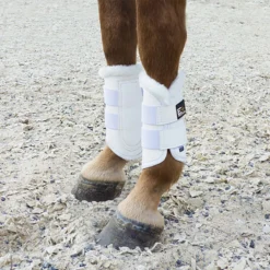 EHI Pro Series Horse & Pony Boots -Weatherbeeta Store EHI Pro.Series.Boots Wht 00