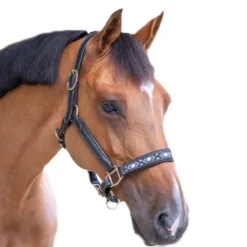 Penelope Pearl Halter