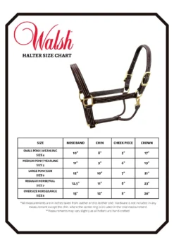 Walsh Showman Halter -Weatherbeeta Store HALTER SIZE CHART Walsh