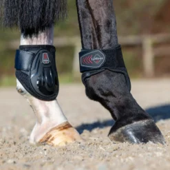 LeMieux Derby ProJump Fetlock Boot -Weatherbeeta Store IT03921 LeMieux.Derby .ProJump.Fetlock.Boot Black Lifestyle