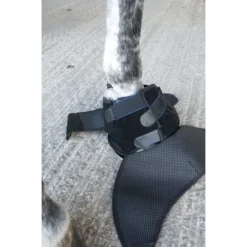 Ice Horse Hoof Ice Boot -Weatherbeeta Store Ice Horse Hoof Ice Boot8 10248.1588348476.1280.1280