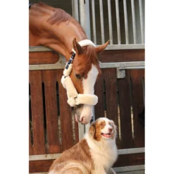 Jump'in Soft Halter - One Collection -Weatherbeeta Store JI LOM beige4