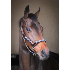 Jump'in Travel Halter - One Collection