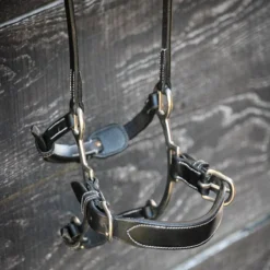 Jump'in Hackamore Noseband- Week Collection