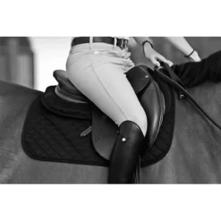 Ogilvy Jumper Baby Pad 11 Ogilvy Jumper Baby Pad -Weatherbeeta Store Ogilvy.Equestrian Jumper.Baby .Pad Black Lifestyle 00