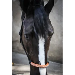 Jump'in Penelope American Rope Halter -Weatherbeeta Store Pen AmericanRope 2