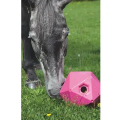 Shires Ball Feeder -Weatherbeeta Store Shires 9640 Ball.Feeder Pink 59ca4bec 2974 4a72 8b8d 94126b826150