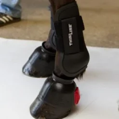 ThinLine Open Front Tendon Schooling Horse Boot -Weatherbeeta Store TL 4015 W SchoolingBoot Front blk 3