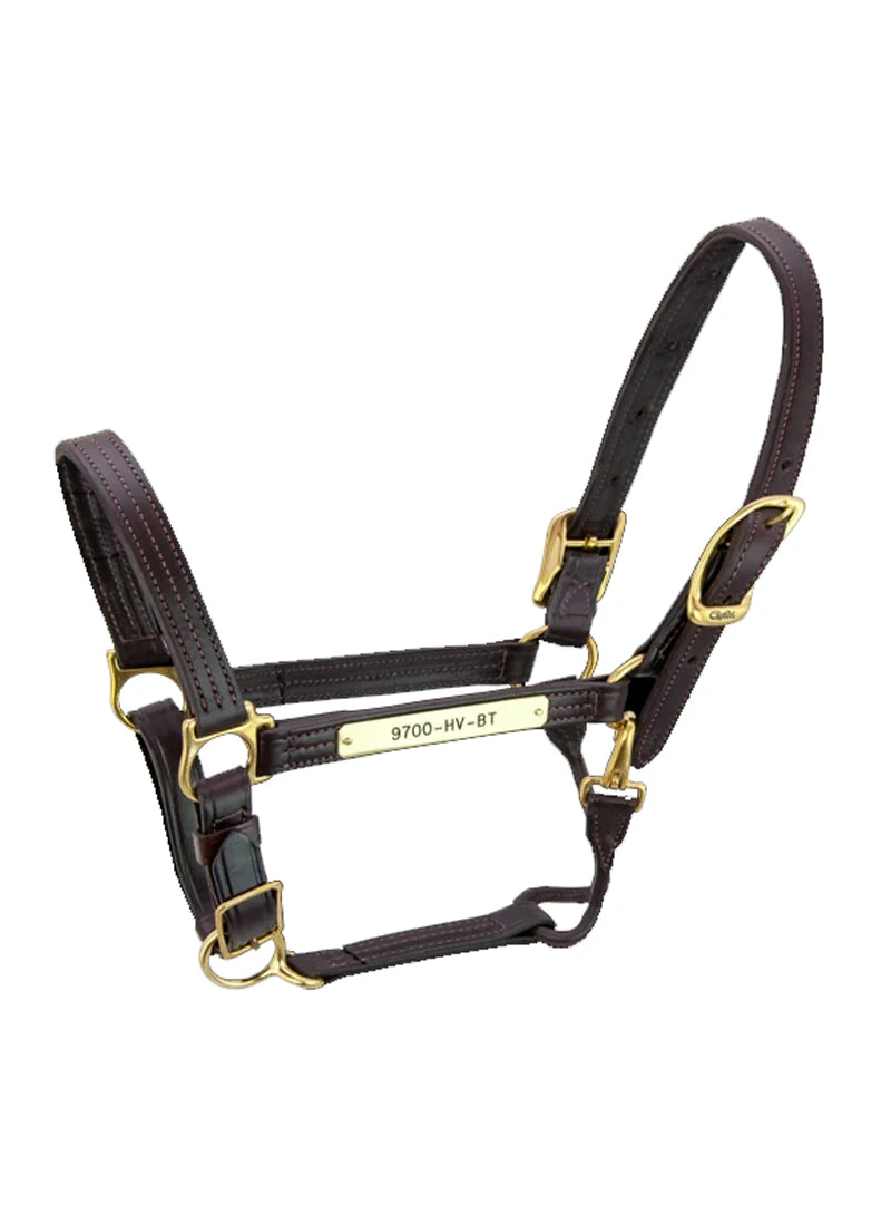 Walsh Kentucky Halter 3 Walsh Kentucky Halter - Image 3