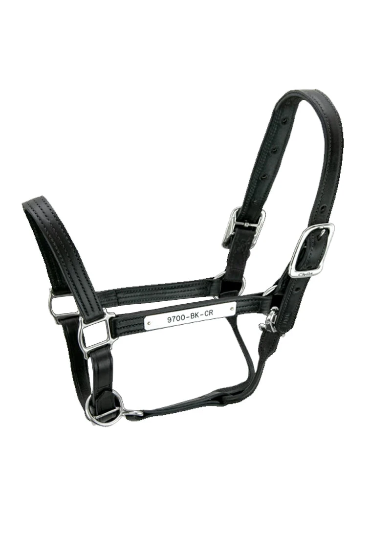 Walsh Kentucky Halter 2 Walsh Kentucky Halter - Image 2