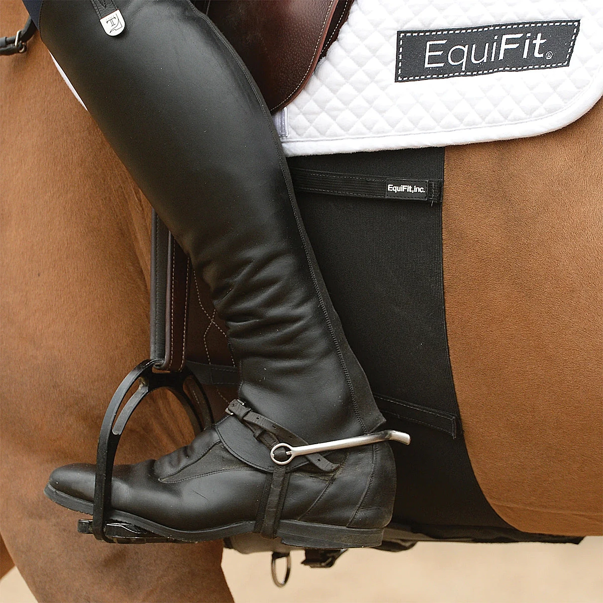 Equifit BellyBand 3 Equifit BellyBand - Image 3