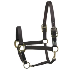 Perri's Premium Nylon Safety Halter -Weatherbeeta Store black 53938.1588257174.1280.1280