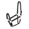 Perri's 1" Leather Turnout Halter
