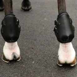 EquiFit AmpTeq Hind Boot -Weatherbeeta Store black trim4 01302.1590074384.1280.1280