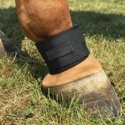 Equifit Neoprene Pastern Band Velcro Closure -Weatherbeeta Store boot2 35441.1589905996.1280.1280