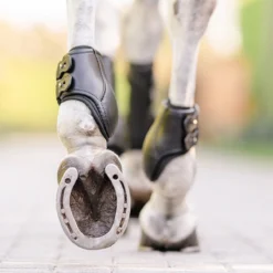 EquiFit Eq-Teq Hind Boot 13 EquiFit Eq-Teq Hind Boot -Weatherbeeta Store boots2 27406adf dcf7 4644 b134 b0e8f1c65bf4