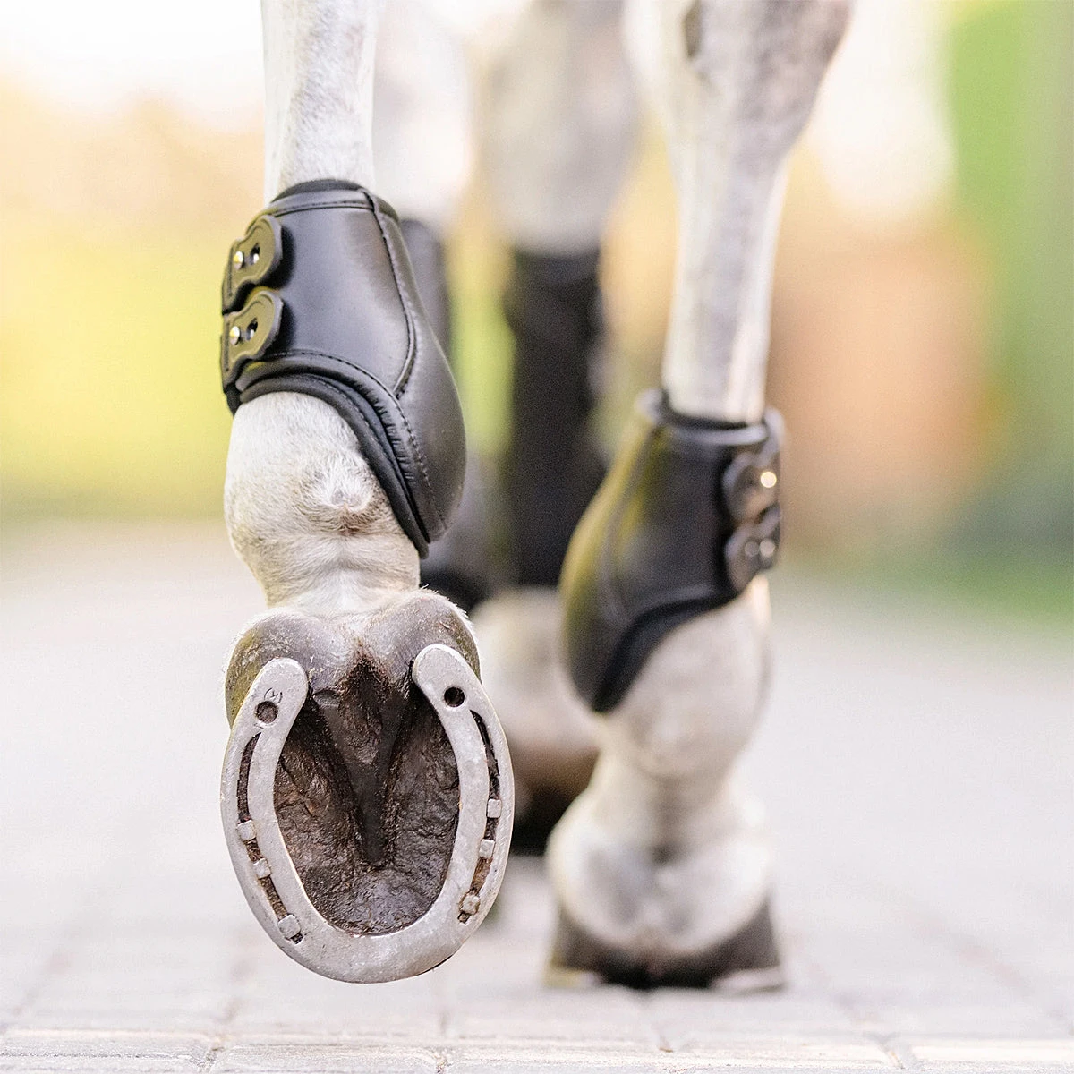 EquiFit Eq-Teq Hind Boot 7 EquiFit Eq-Teq Hind Boot - Image 7