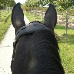 Acavallo Gel Nose Or Poll Guard -Weatherbeeta Store brown4correct 11551.1588788861.1280.1280