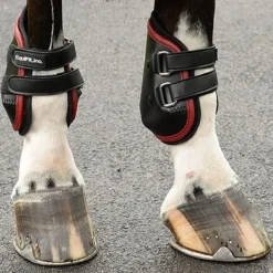 EquiFit AmpTeq Hind Boot -Weatherbeeta Store brown trim3 41085.1590074384.1280.1280