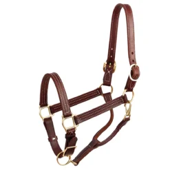 Perri's 1" Leather Show Halter -Weatherbeeta Store chestnut 40178.1588006314.1280.1280