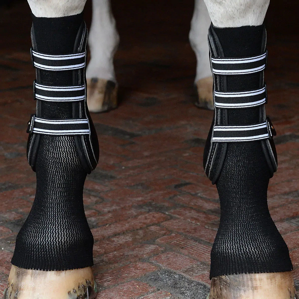 EquiFit GelSox For Horses 2 EquiFit GelSox For Horses - Image 2