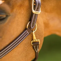 Walsh British Halter -Weatherbeeta Store halter11