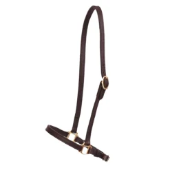 Perri's Grooming Halter