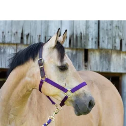 Perri's Premium Nylon Safety Halter -Weatherbeeta Store halter2 94567.1588257175.1280.1280