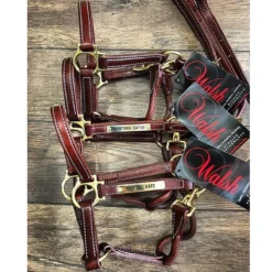 Walsh Showman Halter -Weatherbeeta Store halter2 fa638c65 9196 4b83 b725 af4a0ee4a7d0