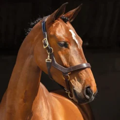 Horseware Rambo Micklem Halter -Weatherbeeta Store halter3 32113.1586963001.1280.1280