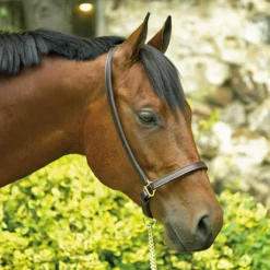 Perri's Grooming Halter -Weatherbeeta Store halter3 61231.1588150038.1280.1280