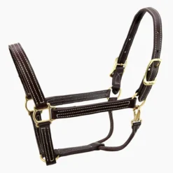 Walsh British Halter -Weatherbeeta Store halter7