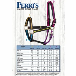 Perri's 3/4" Leather Turnout Halter -Weatherbeeta Store halter size 25535.1588106797.1280.1280