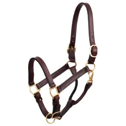 Perri's 1" Leather Show Halter -Weatherbeeta Store havana 70517.1588006313.1280.1280
