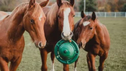 12" Equine Kong Boredom Buster Classic Kit Stall Toy -Weatherbeeta Store kongkit