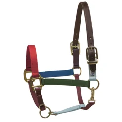 Perri's Premium Nylon Safety Halter -Weatherbeeta Store multi 06576.1588257175.1280.1280