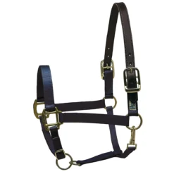 Perri's Premium Nylon Safety Halter -Weatherbeeta Store navy 34737.1588257173.1280.1280
