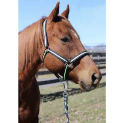 Tuffrider Nylon Breakaway Halter And Lead -Weatherbeeta Store navy neon green3 35065.1587406680.1280.1280