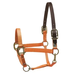 Perri's Premium Nylon Safety Halter -Weatherbeeta Store orange 04391.1588257174.1280.1280