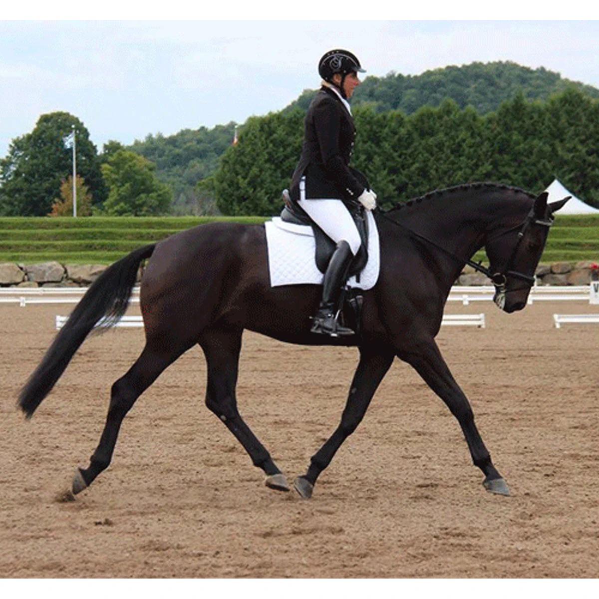 Ogilvy Dressage Memory Foam Half Pad 2 Ogilvy Dressage Memory Foam Half Pad - Image 2