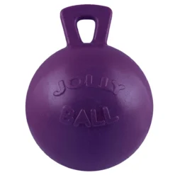 Jolly Ball With 10" Handle